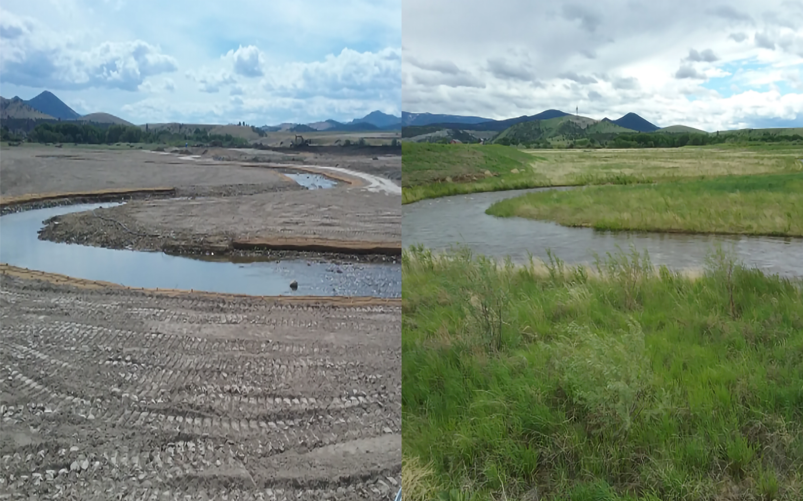 Biosol for Streambank Erosion Control