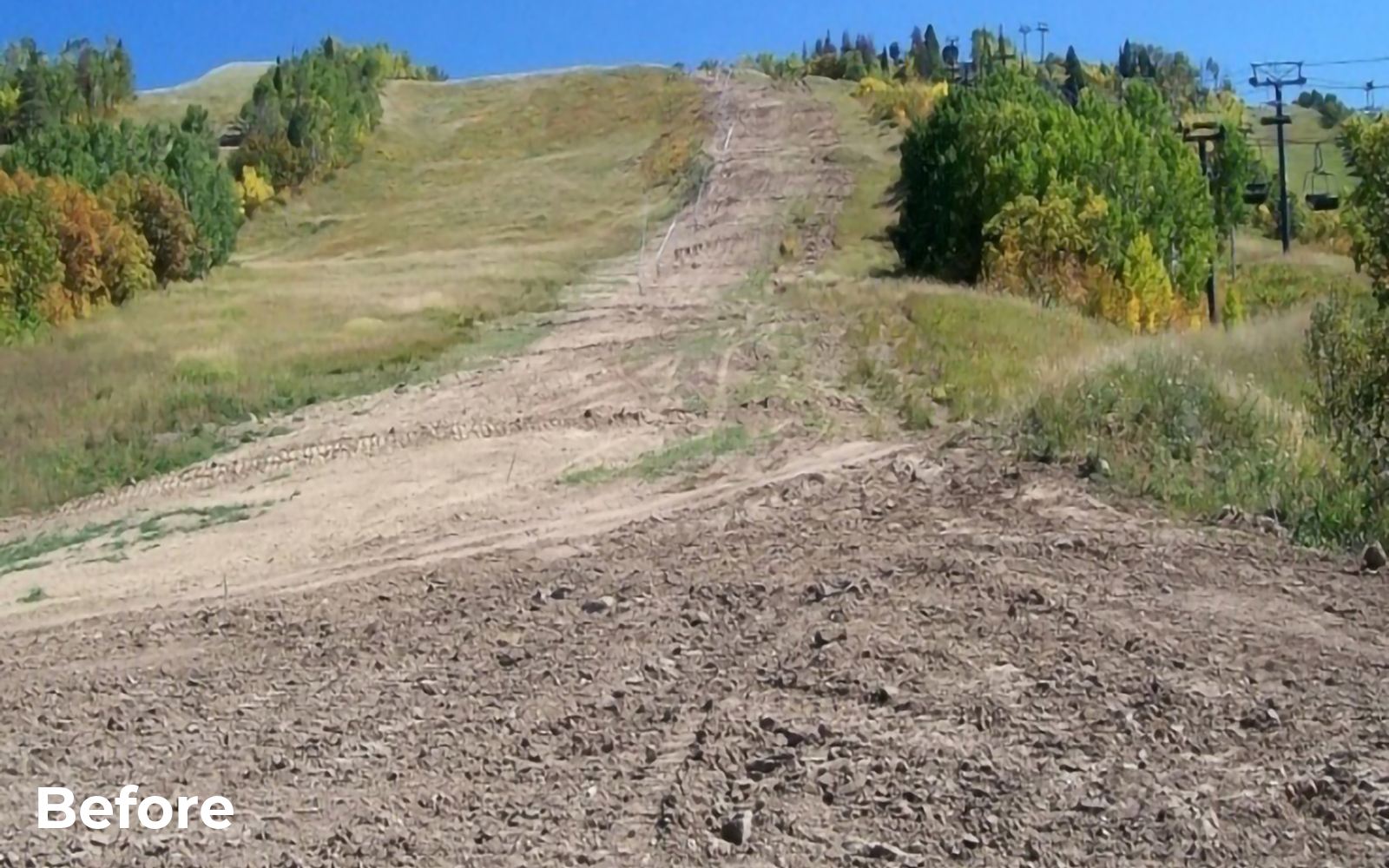 Revegetation Workshop "Before" Picture