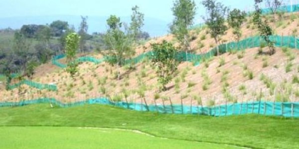 Rolled Erosion Control Products